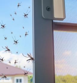 Prodaja in montaža oken Slovenija