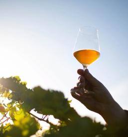 Prodaja srbske rakije EU