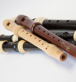 Poučevanje historičnih inštrumentov Ljubljana, Kranj