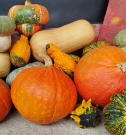 Kvalitetni domači izdelki Škofja Loka