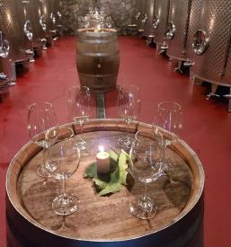 Olivna in bučna olja Slovenija