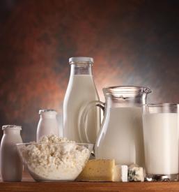 Predelava mleka Železniki, Gorenjska