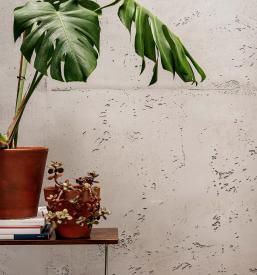 Dekorativne stene Maribor