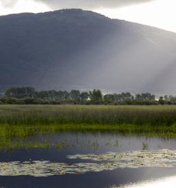 Vacation house Cerknica