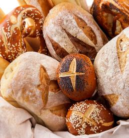 Odprta pekarna v Ljubljani