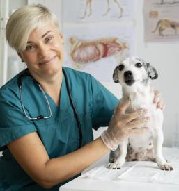 Dobra kardiologija za pse in mačke Koroška