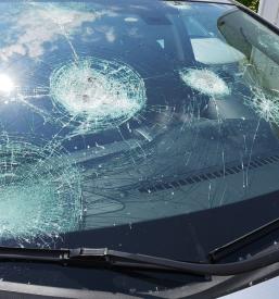 Vulkanizerstvo in avtooptika Slovenska Bistrica