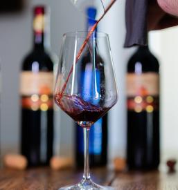 Vinska klet v Brezju