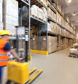 Paletne linije Slovenija