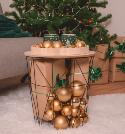 Božično fotografiranje za družine Podravska