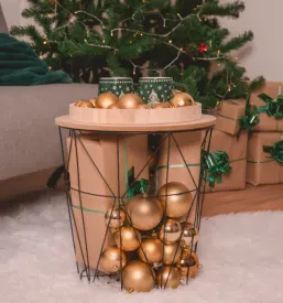 Božično fotografiranje za družine Podravska
