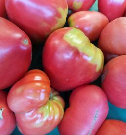 Sveže sadje in zelenjava Brežice, Dolenjska