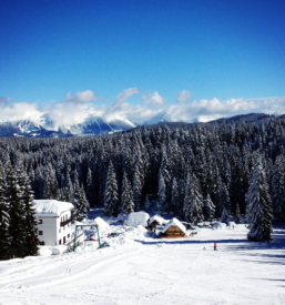 Športna rekreacija za družine Pokljuka