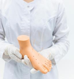 Terapija s tradicionalno kitajsko medicino Ljubljana