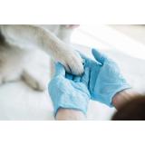 Polona Padežnik s.p.