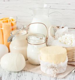 Dnevno sveže mleko in mlečni izdelki Jezersko