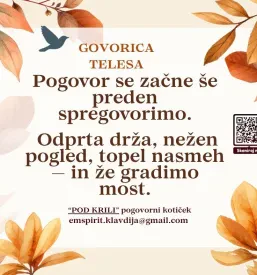 Spletni pogovorni program za otroke