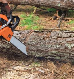 Ugoden les za ogrevanje Posavje