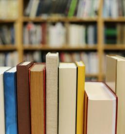 Ugodne knjige Idrija, Goriška