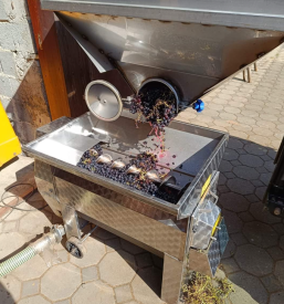 Domača vina Bizeljsko, Brežice