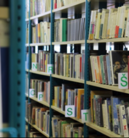 Vpis v srednjo Ekonomsko šolo Novo mesto, Slovenija