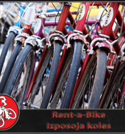 Serviser za kolesa Postojna