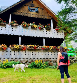 Logarski kot pri Solčavi