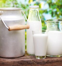 Domači medeni izdelki v Kranjski Gori