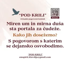 Online pogovorni program