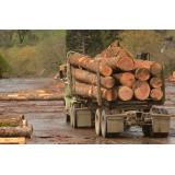 A&B GNEC, Boštjan Potočnik s.p.