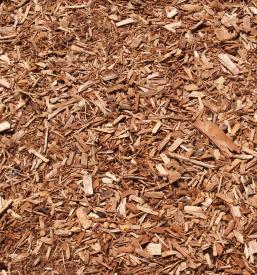 Kvalitetno mulčenje površin Ankaran, Obala