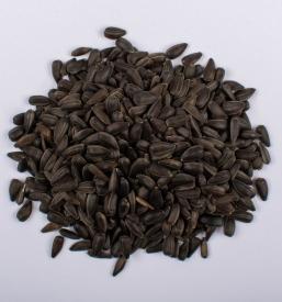 Domače bučno olje Rače