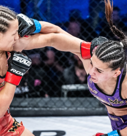 MMA trening Gorenjska