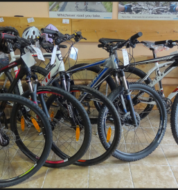 Bike center Postojna