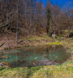 Organizacija teambuildingov