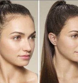 Lasne integracije Primorska