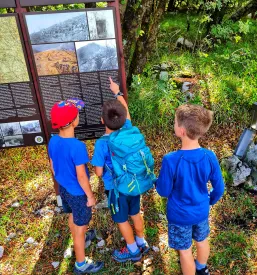 Športni programi Nova Gorica, Goriška