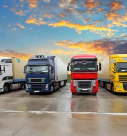 Ugoden transport paletnega tovora po tujini