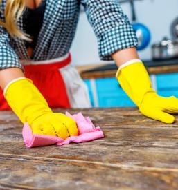 Generalno čiščenje Savinjska