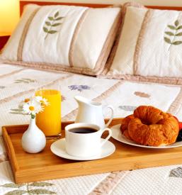 Rent a house Cerknica