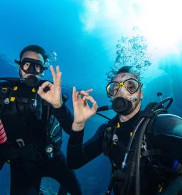 Potapljaška svetilka Trebnje