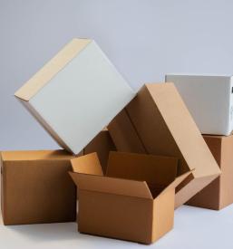 Proizvodnja kartonske embalaže Goriška