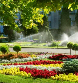 Delavnice glede sajenja vrtnic Slovenija