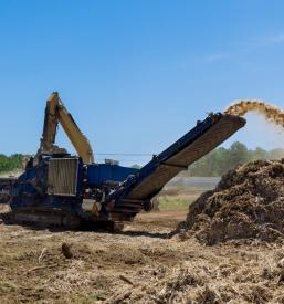 Strojno mulčenje zaraščenih površin Ankaran