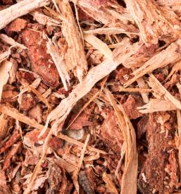 Čiščenje zaraščenih površin Ankaran, Slovenija