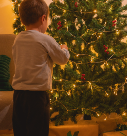 Božično fotografiranje Podravska