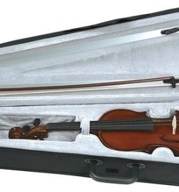 Violončelo Gorenjska, Slovenija