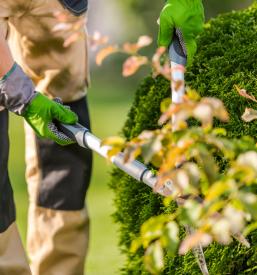 Urejanje okolice Celje, Maribor, Velenje
