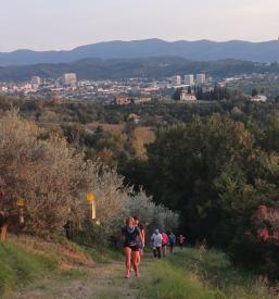 Javni zavod Nova Gorica