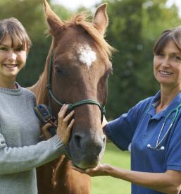 Jahalna šola Postojna